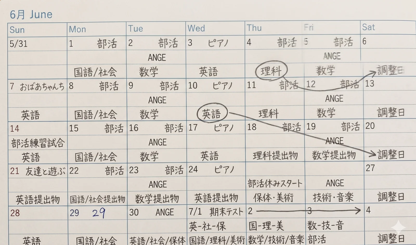 学習スケジュール
